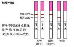 验孕棒测早孕什么时候测最准？